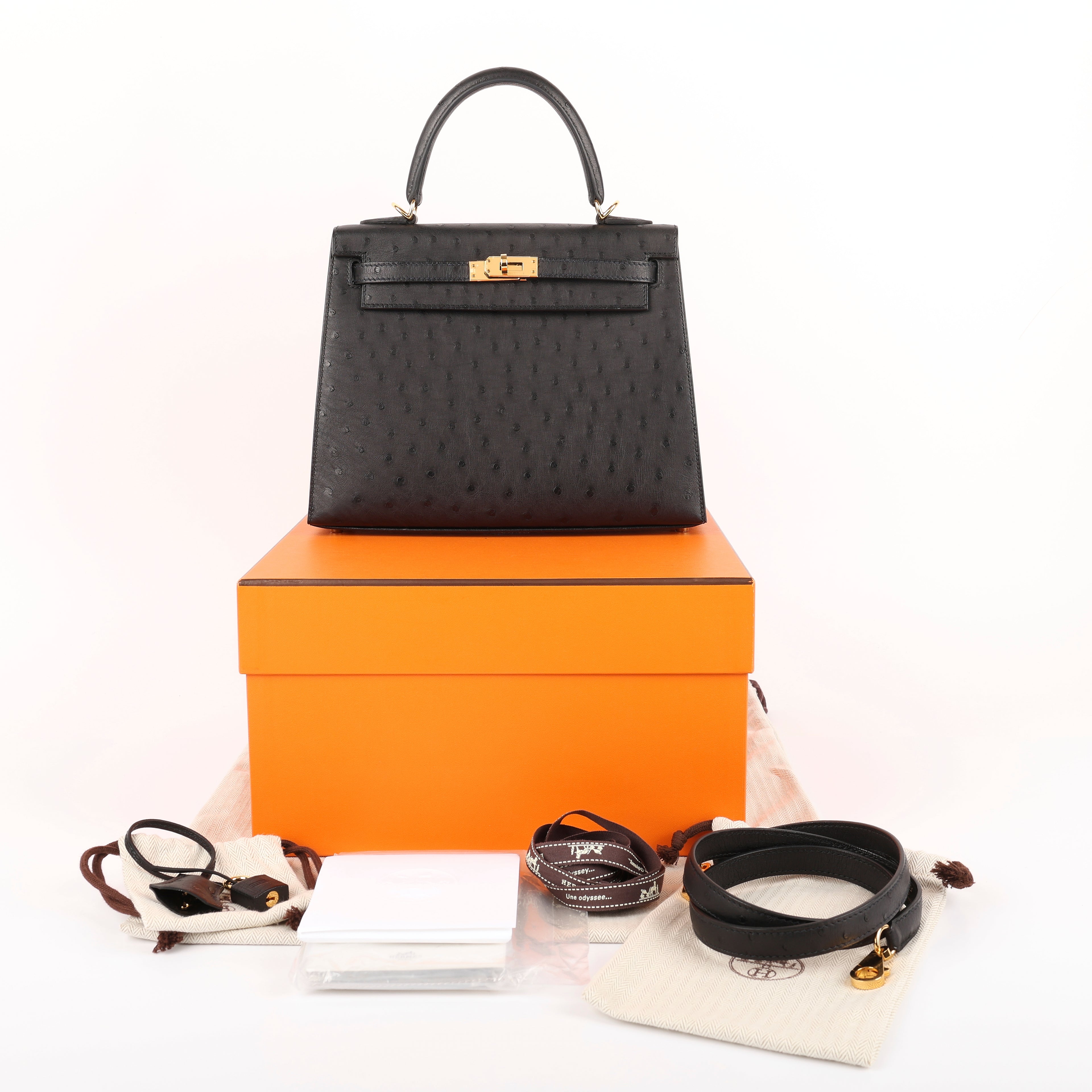 Hermès Black Ostrich Sellier Kelly 25 (GHW | 2021)