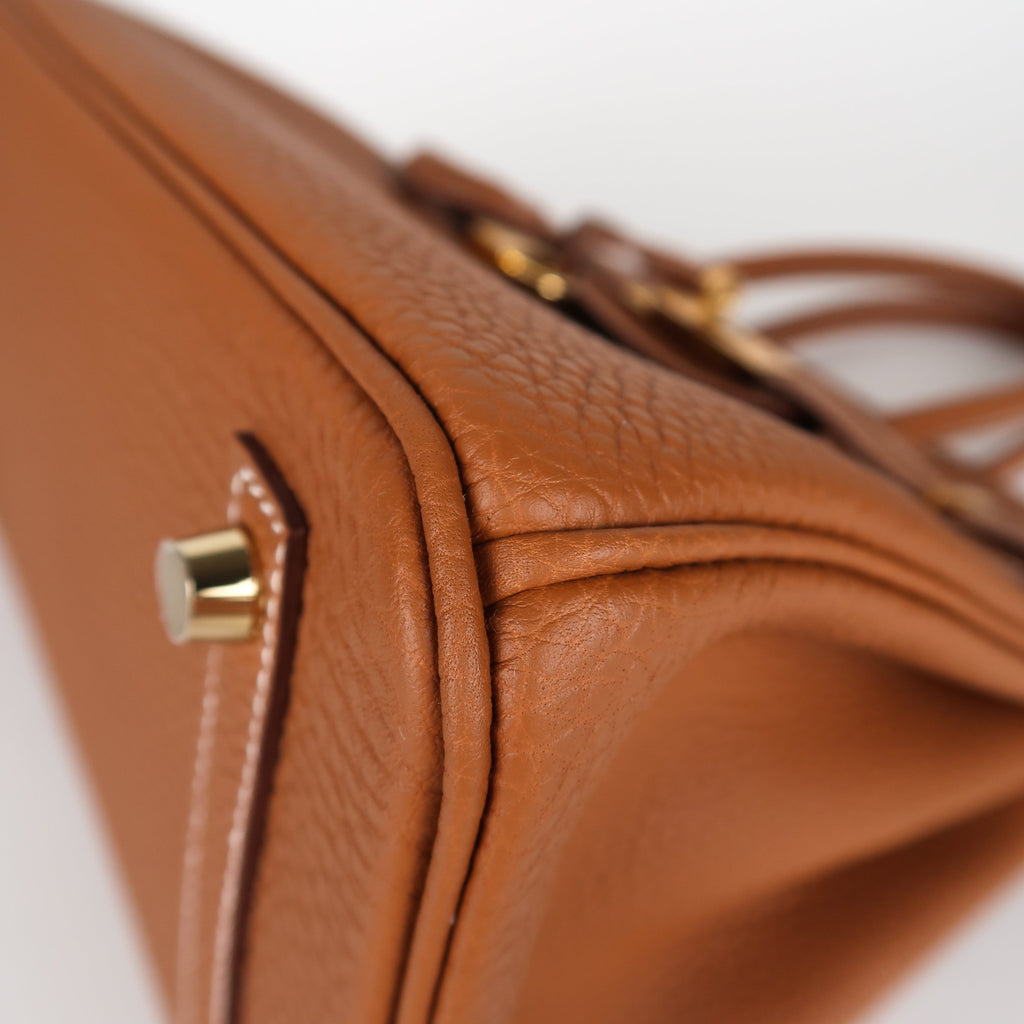Hermès Gold Togo Birkin 30 (GHW | 2026)