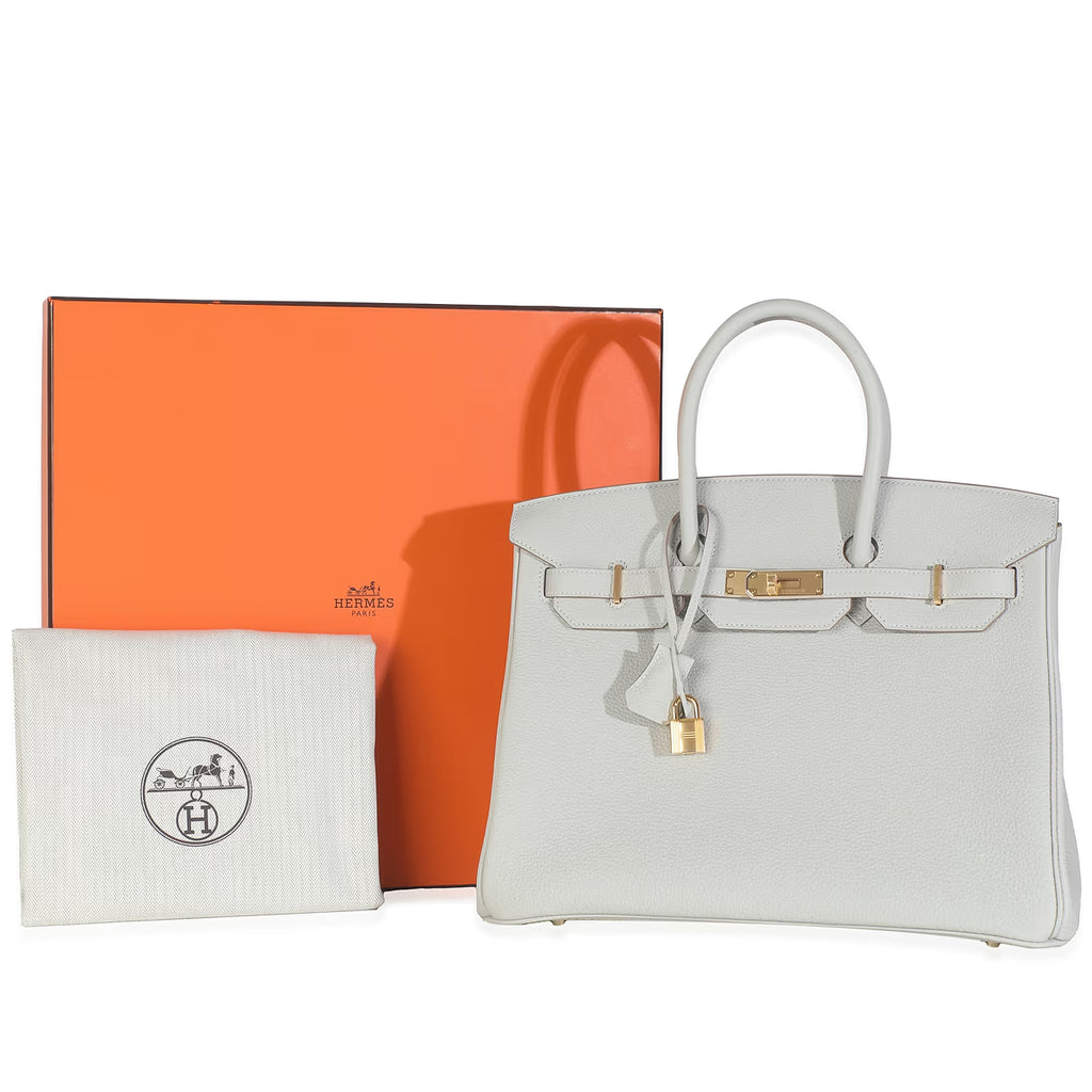 2023 Hermès Gris Neve Togo Birkin 35 GHW
